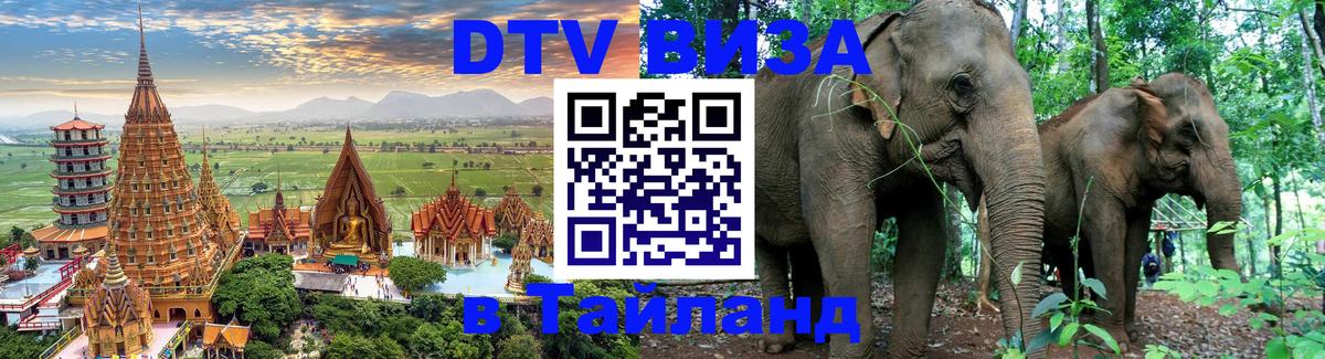 Оформление DTV визы под ключ: стоимость и тарифы, только загранпаспорт - 21.11.2025 